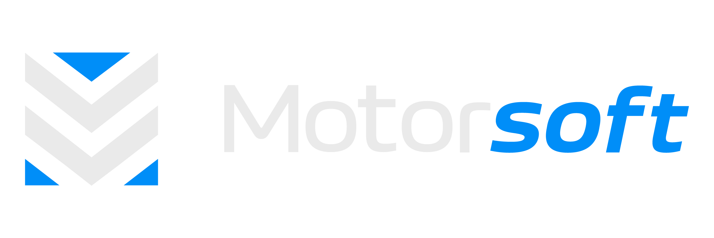 Logo-Motorsoft-Variante-2-Horizontal